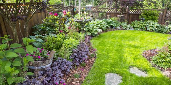 Est-ce possible d'avoir un beau jardin ?