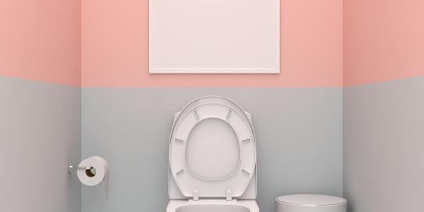 Conseils de décoration des toilettes